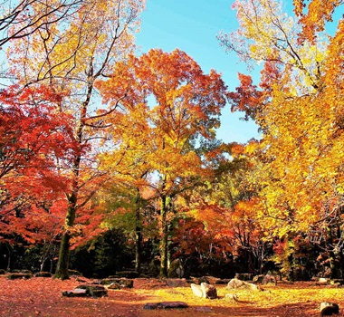 萬博紀念公園